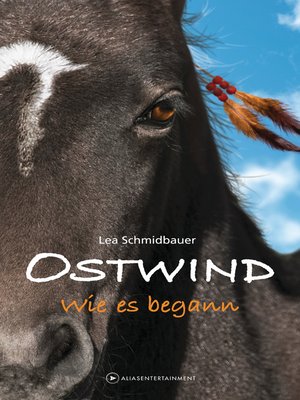 cover image of Ostwind--Wie es begann